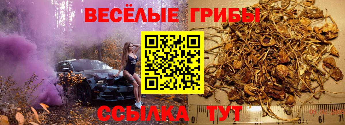 Псилоцибиновые грибы Cubensis  Псилоцибиновые грибы прущие грибы  Дедовск  Вход с VPN 